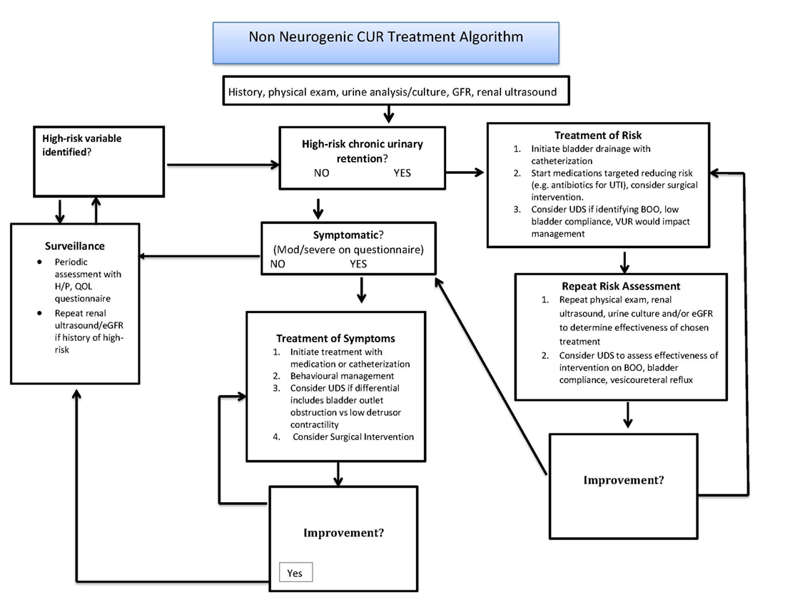 American Urological Association NonNeurogenic Chronic Urinary
